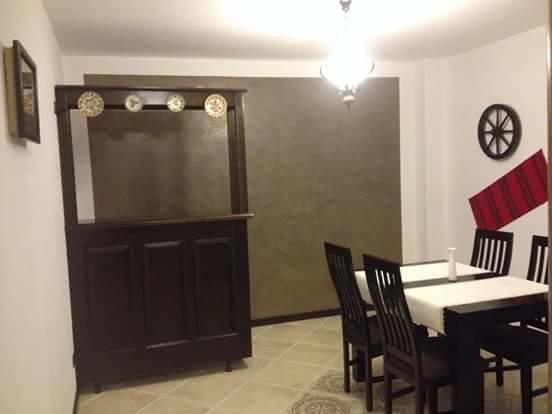 Pensiunea Rustic Borşa Esterno foto