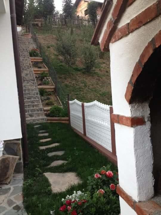 Pensiunea Rustic Borşa Esterno foto