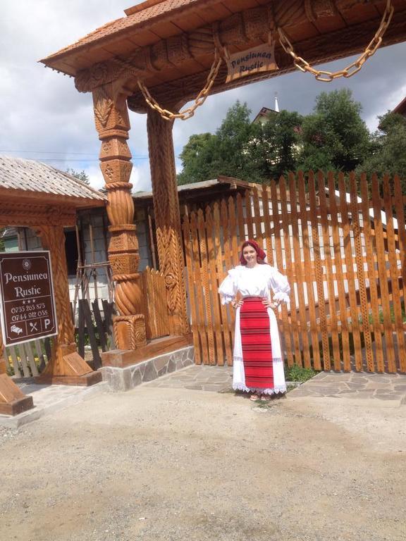 Pensiunea Rustic Borşa Esterno foto