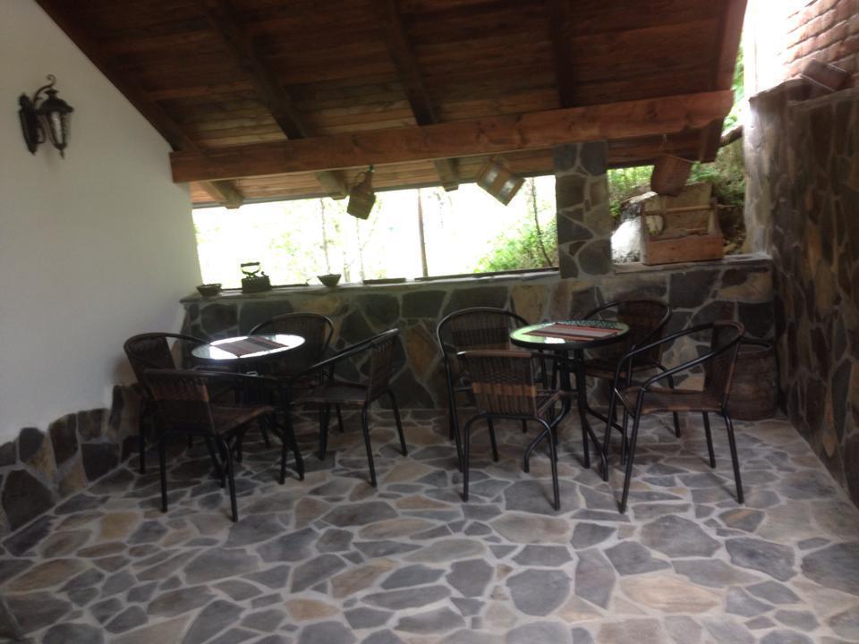 Pensiunea Rustic Borşa Esterno foto