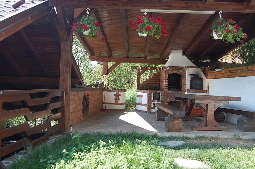 Pensiunea Rustic Borşa Esterno foto