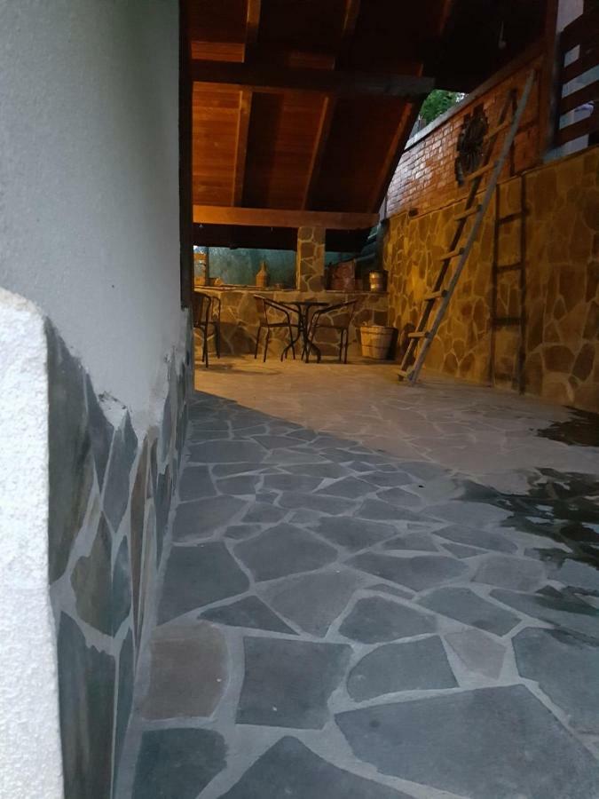 Pensiunea Rustic Borşa Esterno foto