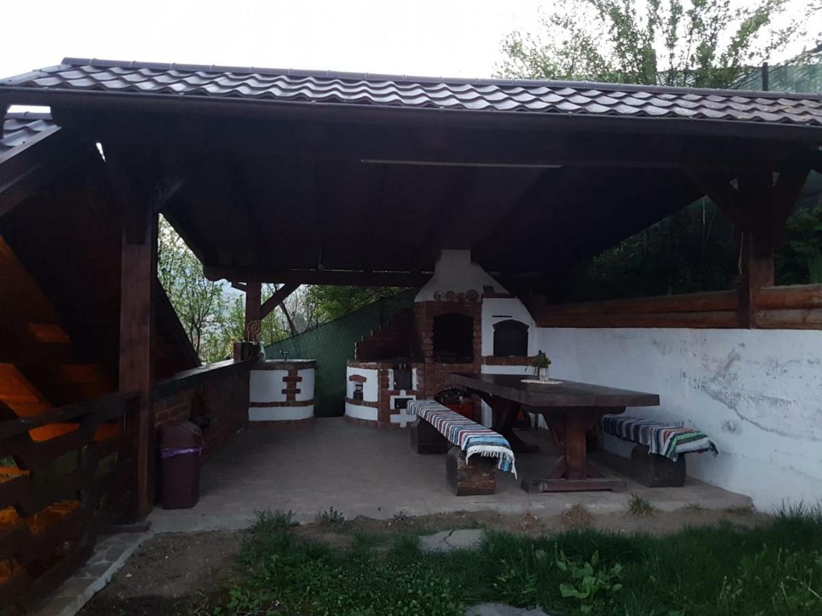Pensiunea Rustic Borşa Esterno foto